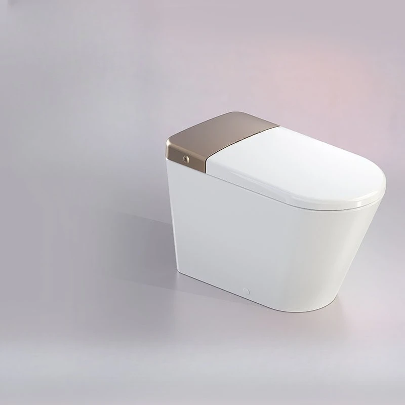 Smart Toilet All In One Automatic Flush - Slimme toilet all-in-one machine met sterilisatie,