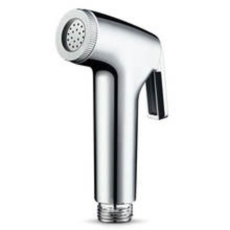 1PCS Handheld Bidet Sproeier v - Non Electric Bidet Attachment Dual Nozzle recensie en prijs
