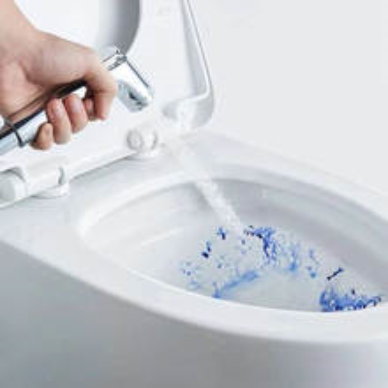 1PCS Handheld Bidet Sproeier v - Non Electric Bidet Attachment Dual Nozzle recensie en prijs