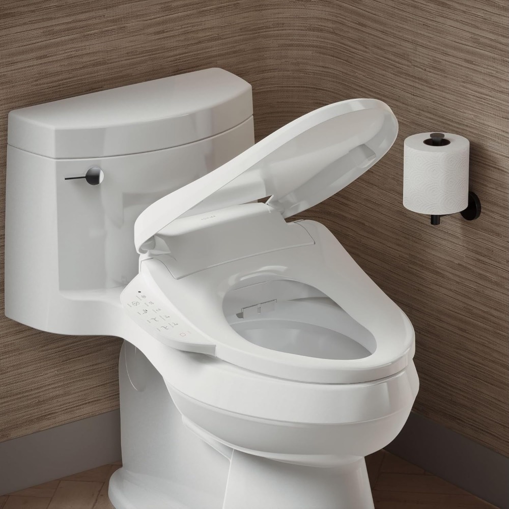 Langwerpig verwarmd bidet toil - Elongated Bidet Toilet Seat Warm Dryer recensie en prijs