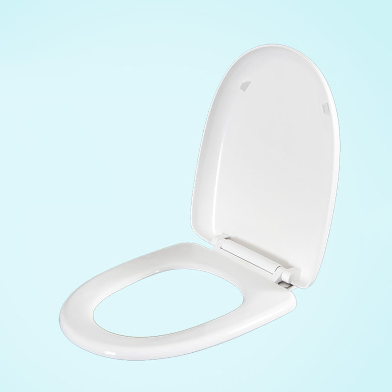 1 Pc Badkamer Wc Deksel Univer - Slow Close Toilet Seat Quick Release recensie en prijs