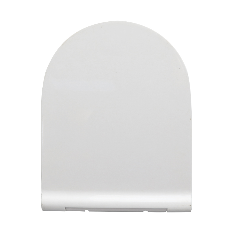 Verwarmde toiletbril met verle - Slow Close Toilet Seat Quick Release recensie en prijs
