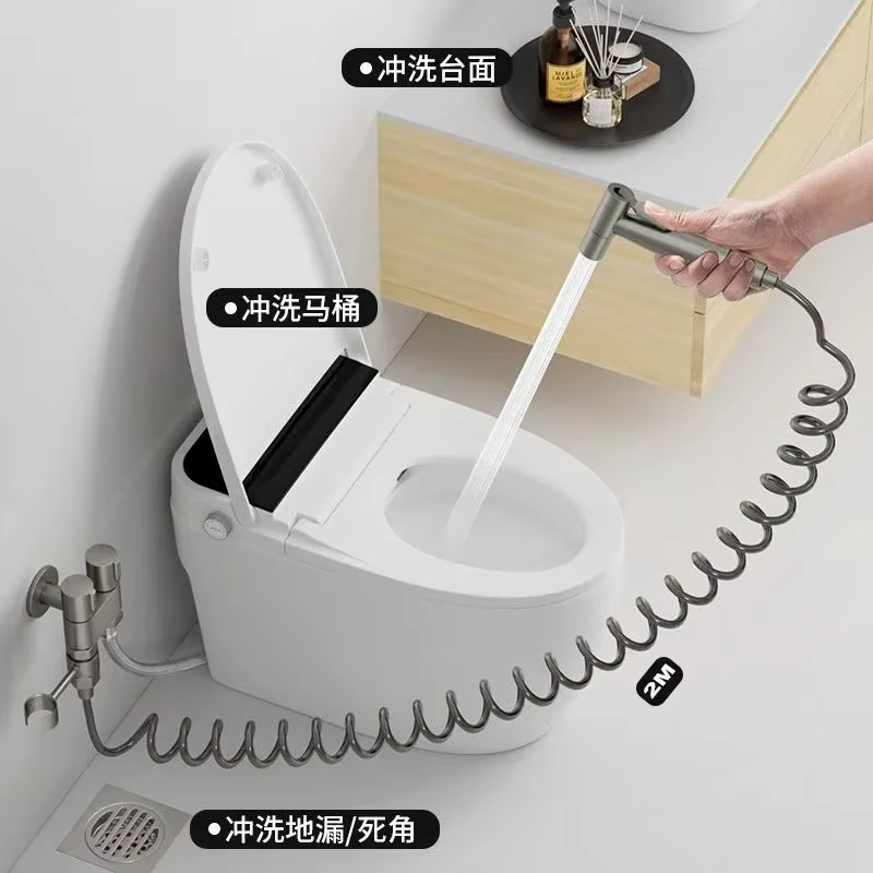 304 roestvrijstalen bidetsproe - Handheld Bidet Sprayer Shattaf Stainless recensie en prijs