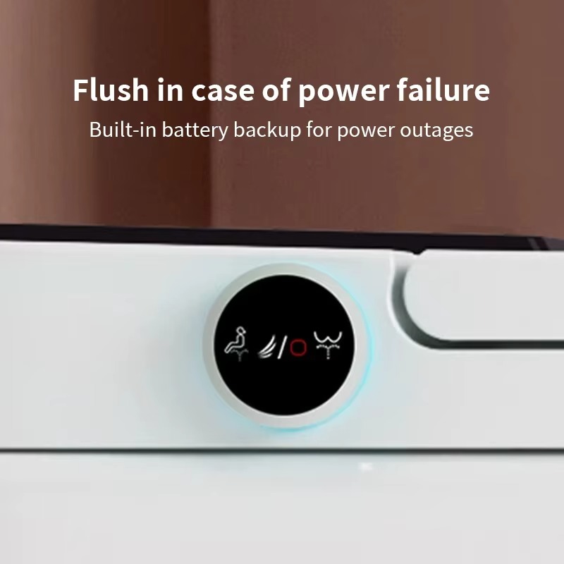 Alles-in-één slim toilet voor  - Smart Toilet All In One Automatic Flush recensie en prijs