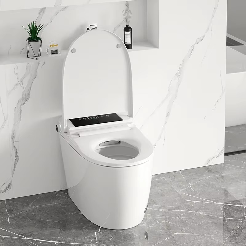 Alles-in-één slim toilet voor  - Smart Toilet All In One Automatic Flush recensie en prijs