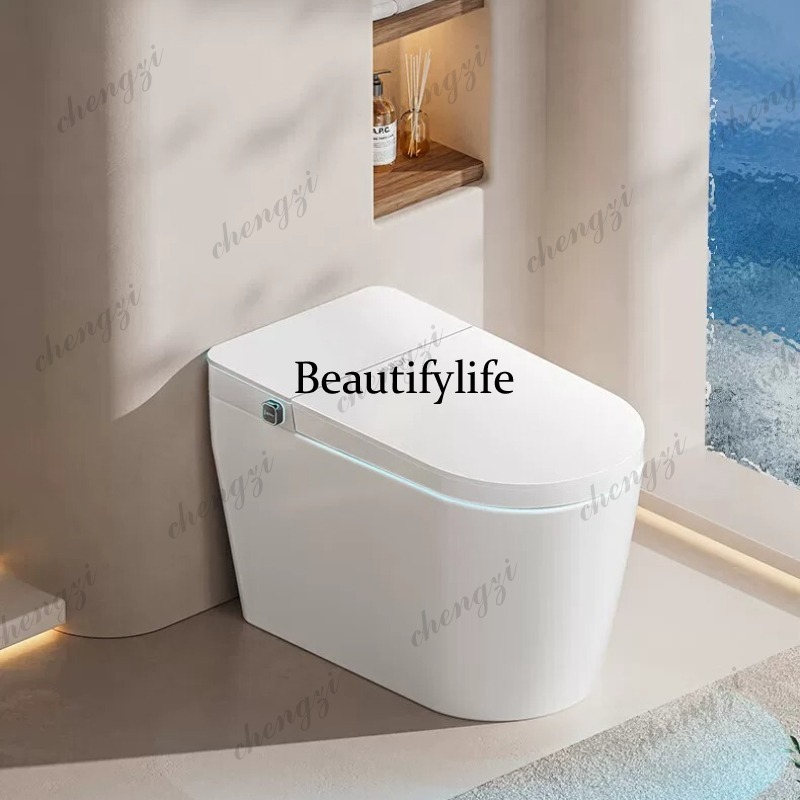 Het slimme toilet heeft geen w - Smart Toilet All In One Automatic Flush recensie en prijs