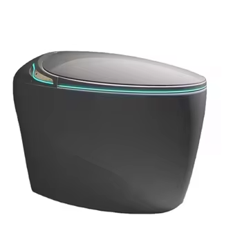 Ei-vormig alles-in-één volauto - Smart Toilet All In One Automatic Flush recensie en prijs