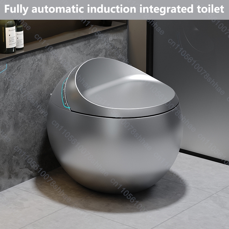 Slim toiletbidet met automatis - Elongated Bidet Toilet Seat Warm Dryer recensie en prijs