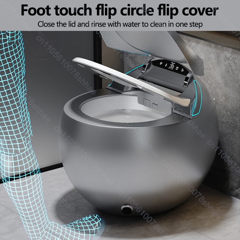 Slim toiletbidet met automatis - Elongated Bidet Toilet Seat Warm Dryer recensie en prijs