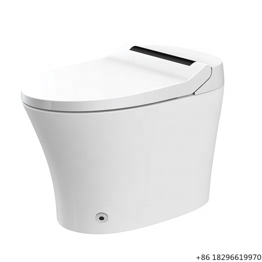 Eenvoudige installatie Elektri - Smart Bidet Toilet Seat Heated Electric recensie en prijs