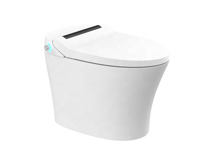 Eenvoudige installatie Elektri - Smart Bidet Toilet Seat Heated Electric recensie en prijs