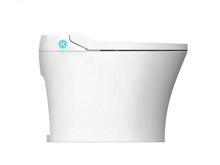Eenvoudige installatie Elektri - Smart Bidet Toilet Seat Heated Electric recensie en prijs