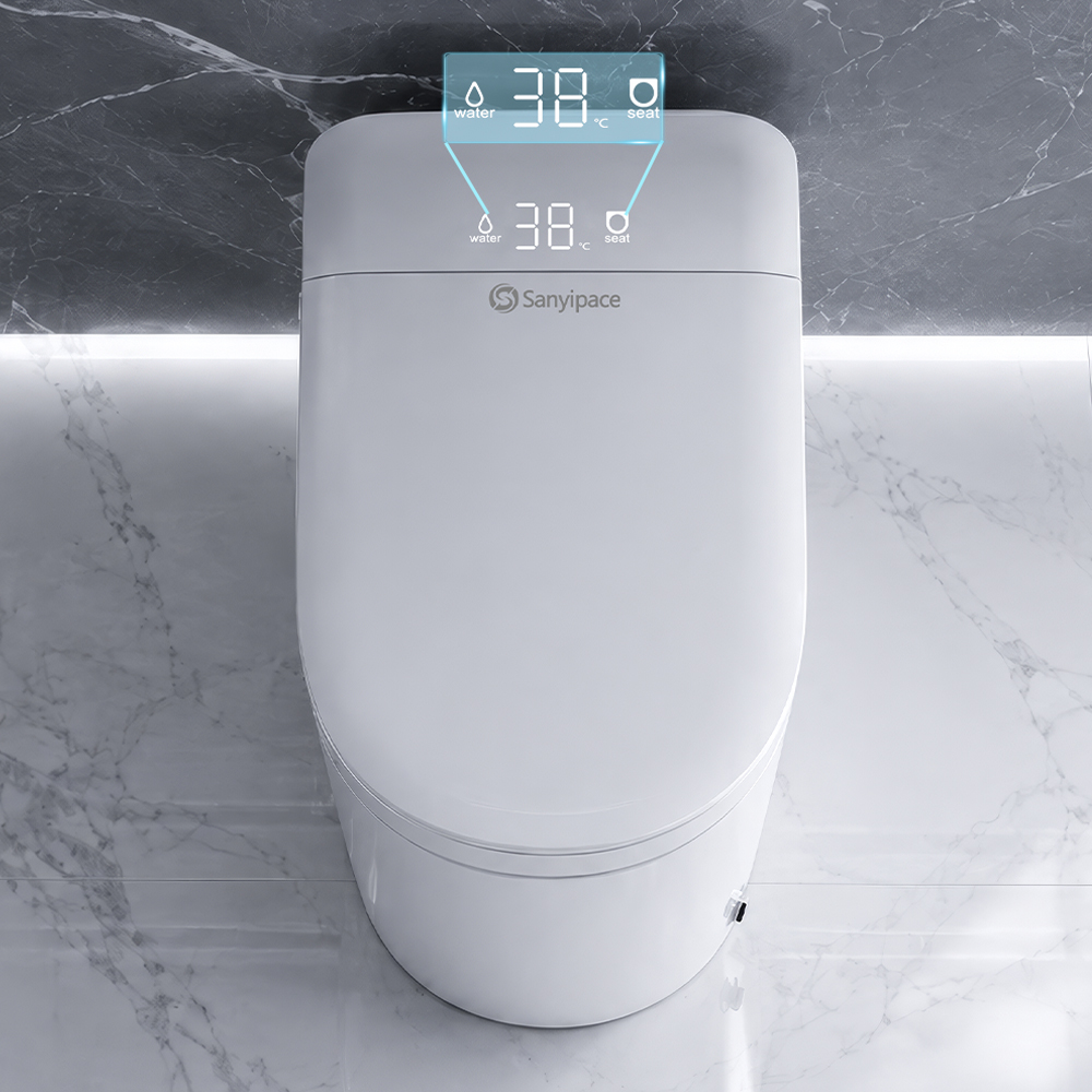 Sanyipace Smart toiletzitting  - Non Electric Bidet Attachment Dual Nozzle recensie en prijs
