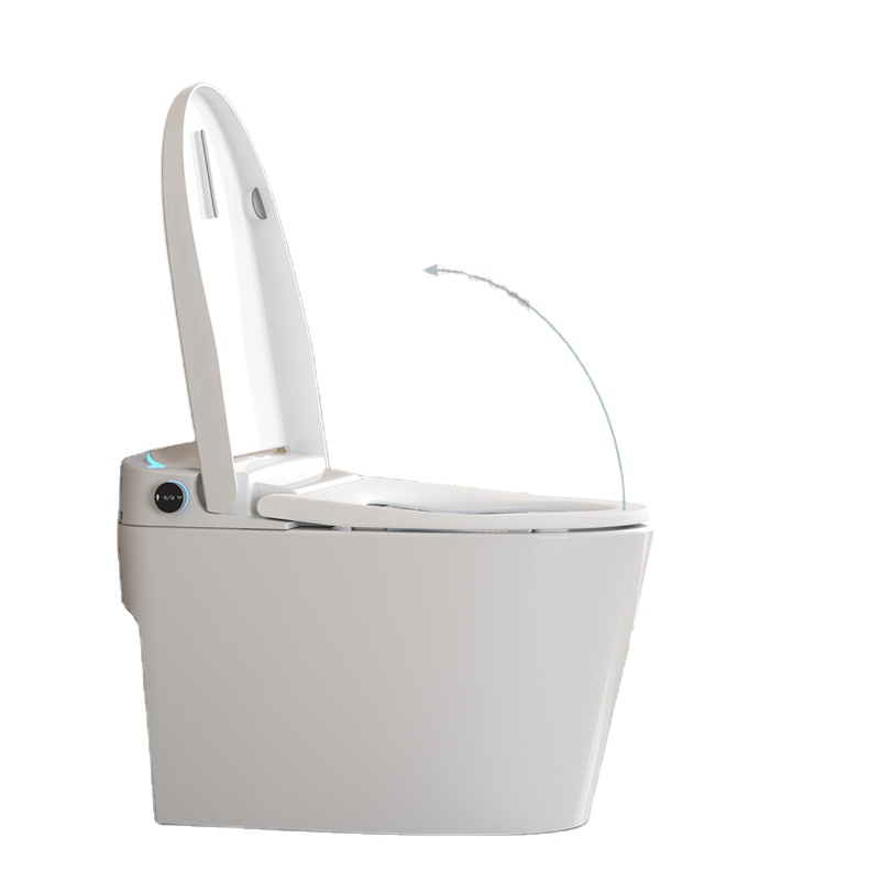 Hoogwaardig modern elektrisch  - Smart Toilet All In One Automatic Flush recensie en prijs