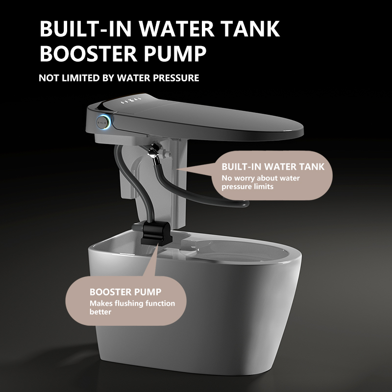 Hoogwaardig modern elektrisch  - Smart Toilet All In One Automatic Flush recensie en prijs