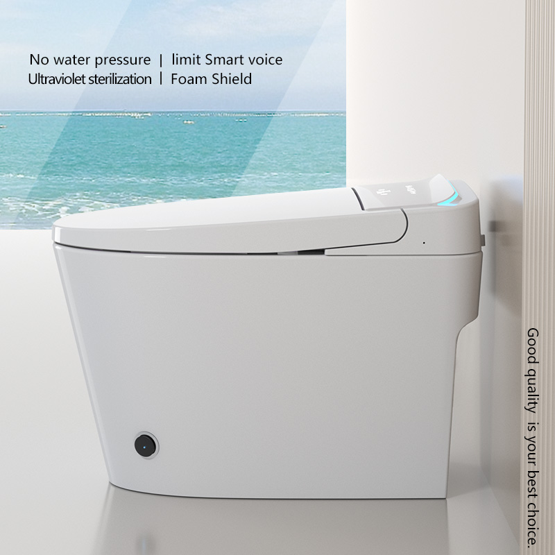 Hoogwaardig modern elektrisch  - Smart Toilet All In One Automatic Flush recensie en prijs